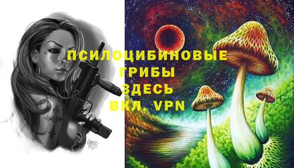 марки lsd Баксан