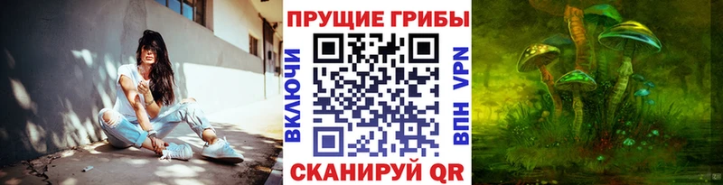Галлюциногенные грибы мицелий наркотики Губкинский