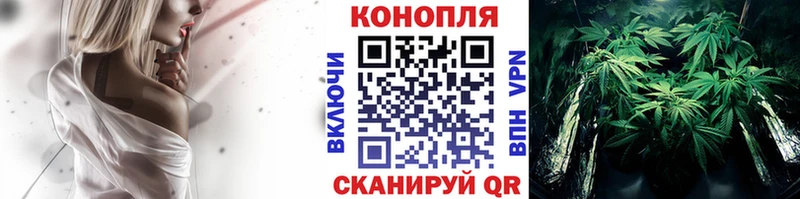 Каннабис VHQ  нарко площадка какой сайт  Губкинский 